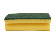 Sponge Scouring Pad 10's (10)
