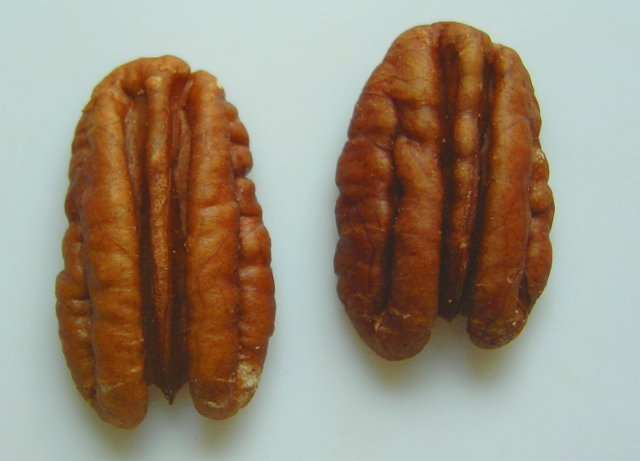Pecan Nuts (1kg)
