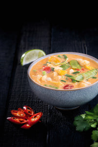 Vegan Penang Curry (15x300g)